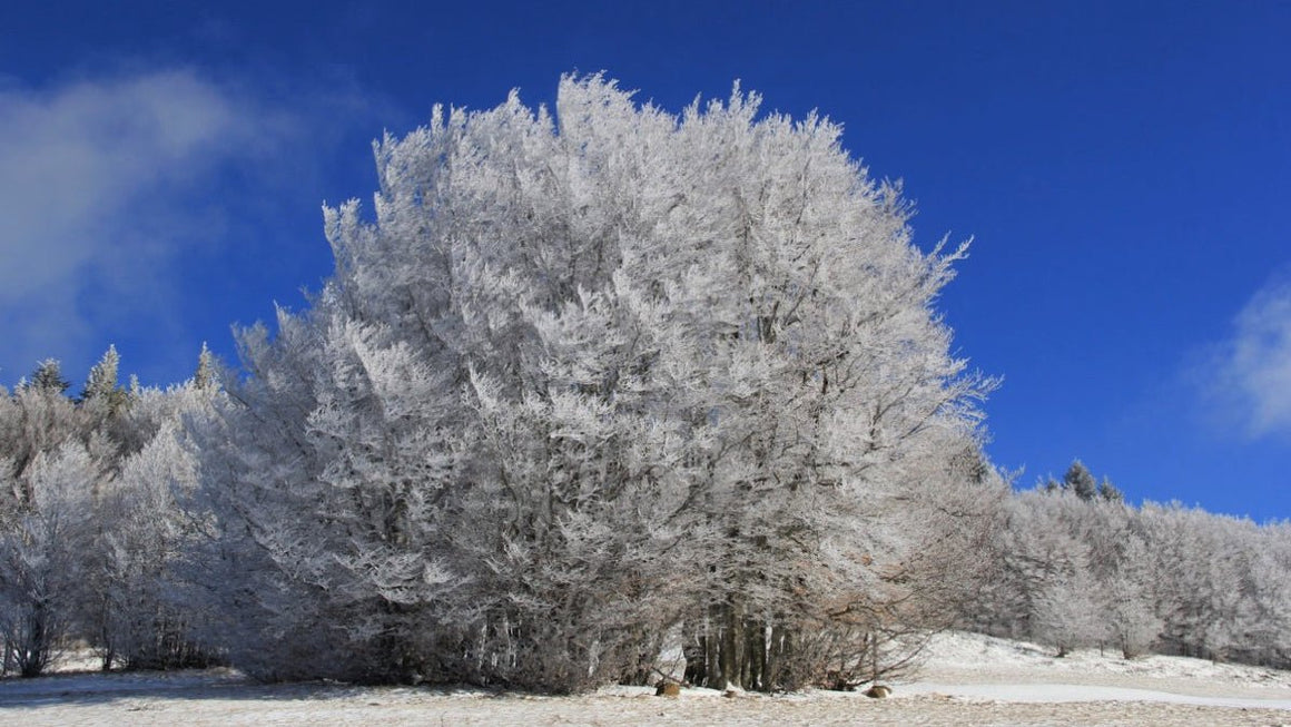 Images Format : 16:9 - vagabondphotos.ch