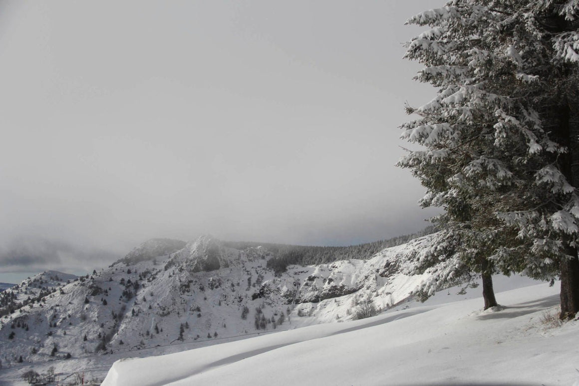 Nature ardéchoise - vagabondphotos.ch