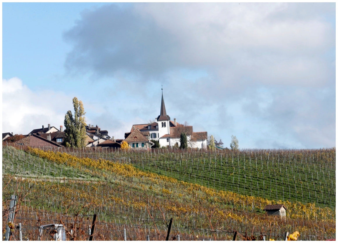 Suisse - vagabondphotos.ch