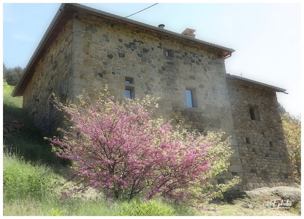 Ardèche 07 France  Mais 2025