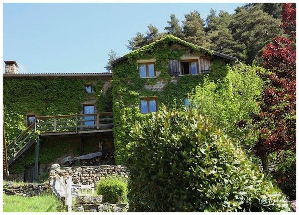 Ardèche 07 France  Mais 2025
