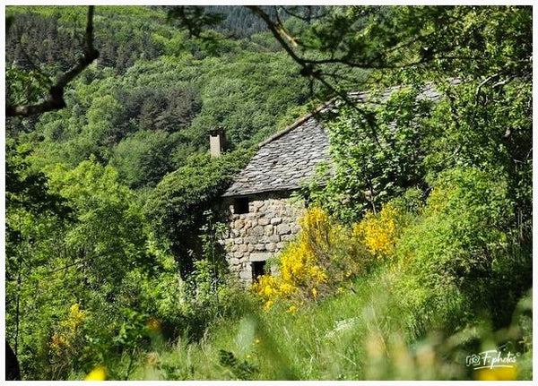 Ardèche 07 France  Mais 2025