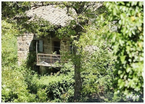 Ardèche 07 France  Mais 2025