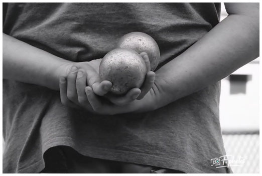 Pétanque nb