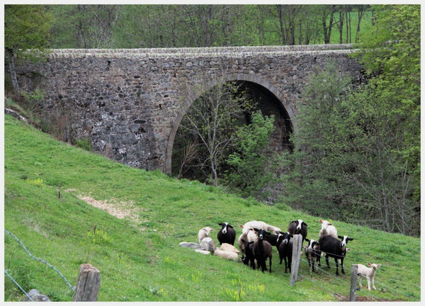 Pont 1