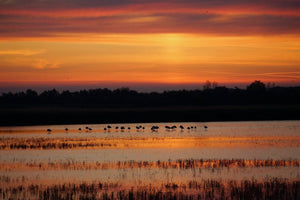 couché de soleil - vagabondphotos.ch