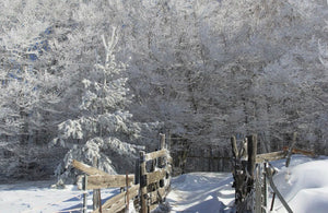 Froid neige - vagabondphotos.ch