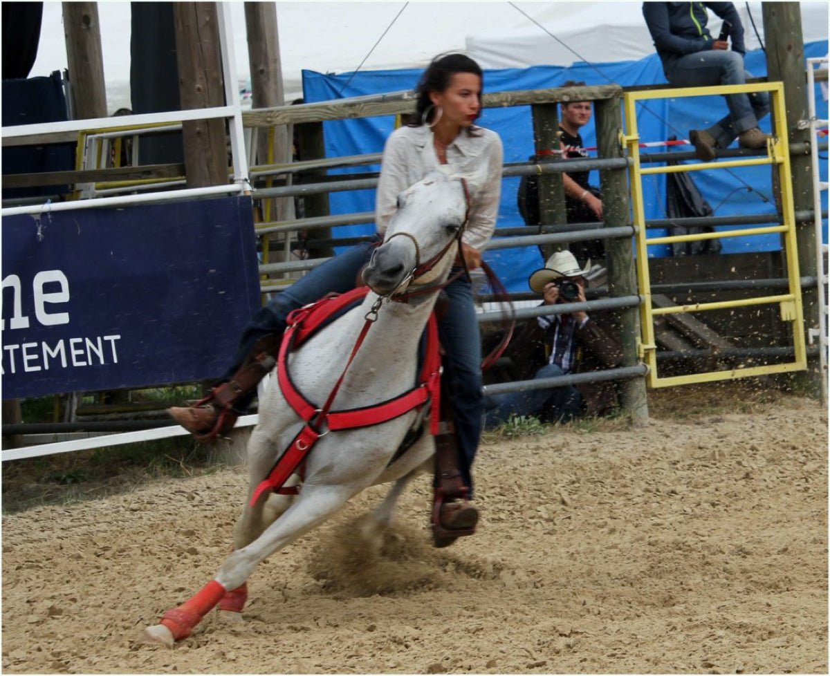 Reportage Equiblues St AGREVE aout 2018 France - vagabondphotos.ch